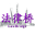 上海私募基金律师-PE法律桥:上海杨春宝一级律师|您的私募基金法律顾问