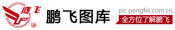 related websites