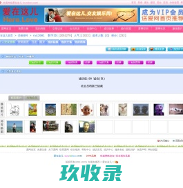 网站截图