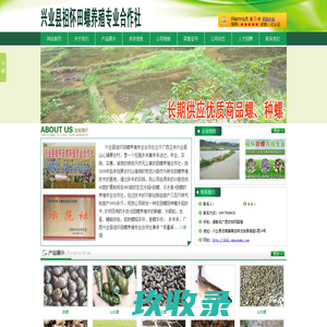 
	田螺—兴业县祖怀田螺养殖专业合作社—广西农牧网
