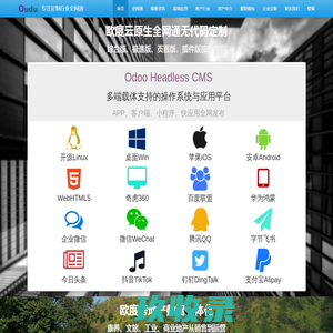 温州欧度软件设计院 - 专注定制行业全网通数智信息化