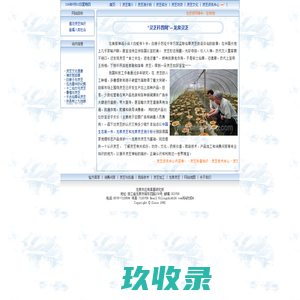 龙泉灵芝网