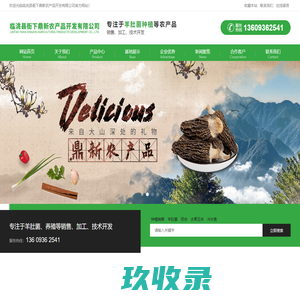 羊肚菌_种植_养殖_水产_临洮县衙下鼎新农产品开发有限公司