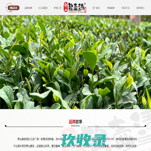 泰山女儿茶_泰山女儿红茶_泰山特产|泰山碧壶清女儿茶厂