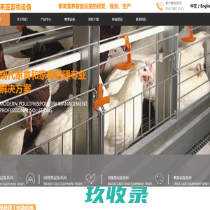 鸡笼设备|自动化养鸡设备|蛋鸡笼|育雏鸡笼|鸭笼设备厂家|喜来亚畜牧设备