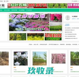 秀江南苗圃配送_浙江金边黄杨苗_浙江十大功劳苗_浙江蜀桧苗_苗青青_青青花木网