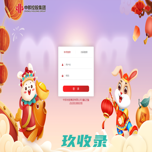 中即控股集团