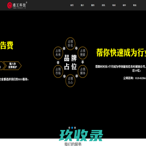 SEO·品牌推广·网络营销策划·王通