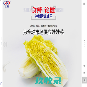 云南神创蔬菜种植有限公司_蔬菜批发_娃娃菜