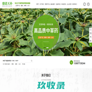 中草药种植_中草药批发_鼎诺天朴中草药_玉溪佳拓农业发展有限公司