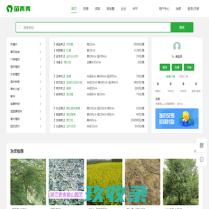 苗青青_苗木求购批发价格_苗木销售平台_园林绿化苗木网_青青花木网