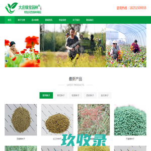 大庄绿宝园林网-进口草坪种子-草花卉种子-牧草种子-园林绿化苗木