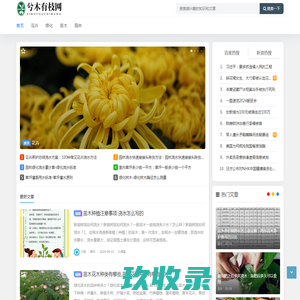 网站截图