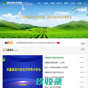 安徽双赢再生资源集团