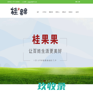桂果果-让百姓的生活更美好-、乡村物流配送、农产品品牌化