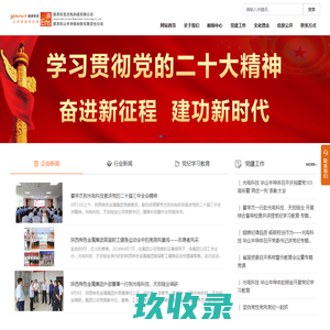 陕西有色光电科技有限公司-单晶电池线-多晶组件