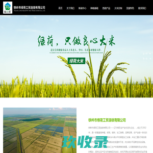铁岭市绿荷工贸连锁有限公司_东北大米批发,辽宁大米厂家,铁岭有机大米