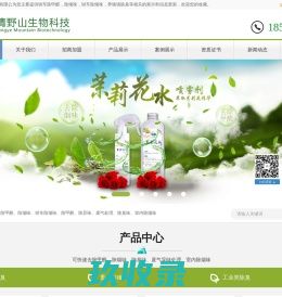 网站截图