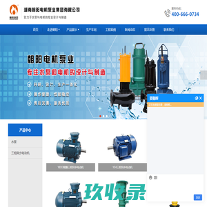 湖南朝阳电机泵业集团有限公司