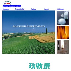 您的网站名称
