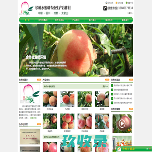 长松水蜜桃专业生产合作社