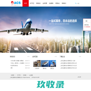 上海丹正国际货运代理有限公司