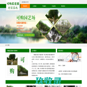 南京工业职业技术学院-编程在线