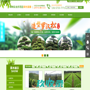 株洲云龙示范区绿光苗圃_造型罗汉松批发_株洲造型五针松_黑松