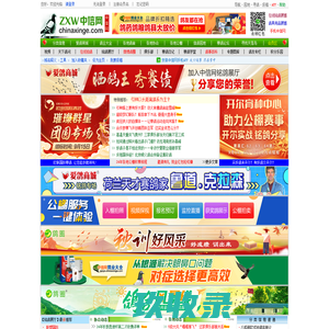 咚波电子商务网