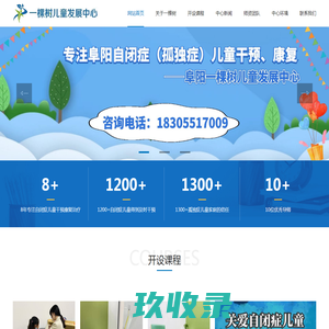 阜阳自闭症,孤独症干预,儿童治疗康复训练中心_阜阳一棵树儿童发展中心