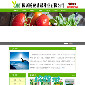 陕西杨凌瑞晟种业有限公司|瑞晟种业|甜瓜种子|西瓜种子|番茄种子