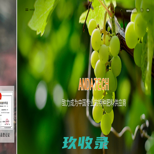 网站截图
