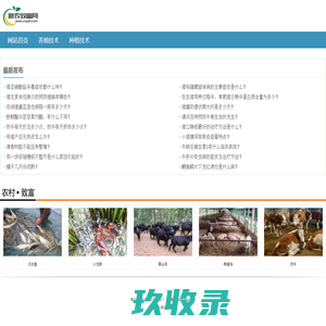九五工具箱-好用的在线工具都在这里！