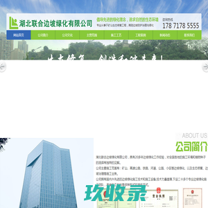 高陡边坡绿化-矿山修复治理-挂网客土喷播-TBS 厚层基材-联合边坡绿化