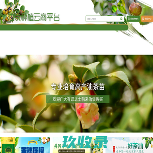 黑龙江奥米伽信息技术有限公司
