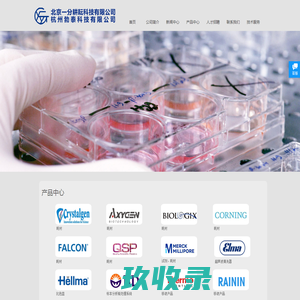 网站截图
