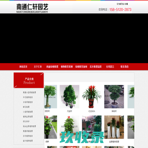 南通绿植租摆|南通植物租摆|南通绿植租赁-南通仁轩园艺有限公司-南通绿植租摆|南通植物租摆|南通绿植租赁