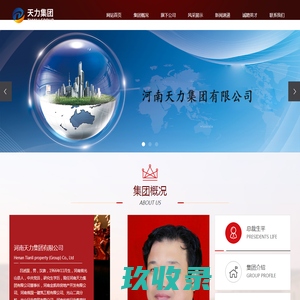 河南天力集团有限公司