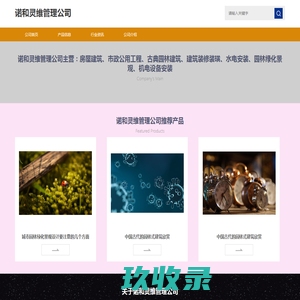 诺和灵维管理公司-企业网站