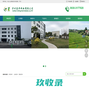 泸州泰丰种业有限公司