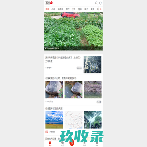 家在深圳,八卦、有料、同城、活动_房网论坛(深圳房地产信息网论坛)