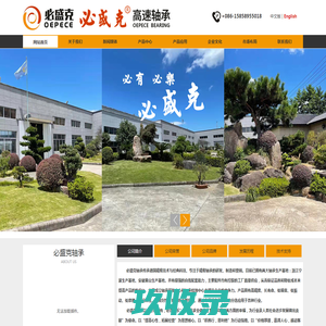 必盛克高速轴承-宁波欧佩克轴承有限公司