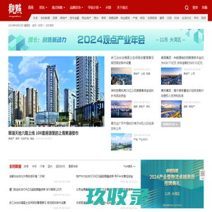 观点网