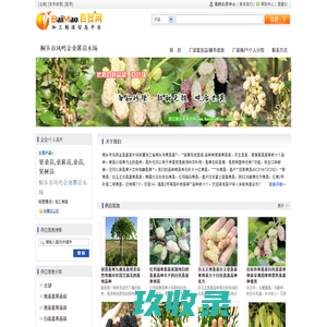 桐乡市凤鸣金桑葚苗木场批发供应果桑苗,桑葚苗,桑苗,果树苗