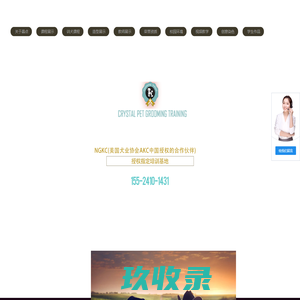 玩具频道 - 八方资源网
