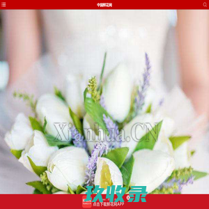 鲜花网-中国鲜花网手机版,鲜花速递领先品牌|送鲜花 上Xianhua.CN