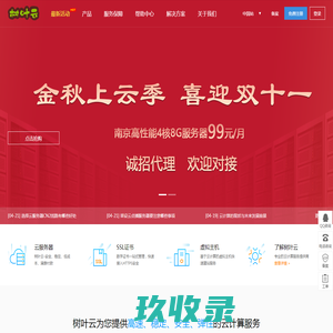 树叶云-南京vps-服务器租用-域名注册-虚拟主机-高防服务器