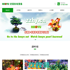 好雨珍珠黄杨-上海珍杨园艺有限公司