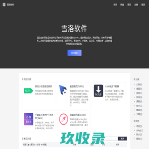 雪洛软件-专注于软件、网站、游戏开发