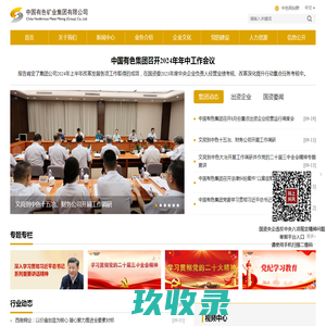 中国有色矿业集团有限公司